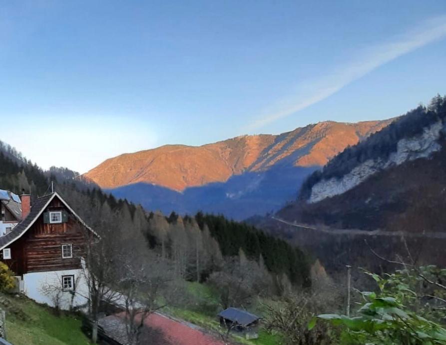 Romantische Ferienhütte Ennstaler Nat Kalkalpen bis 6 Personen Kleinreifling Exterior foto