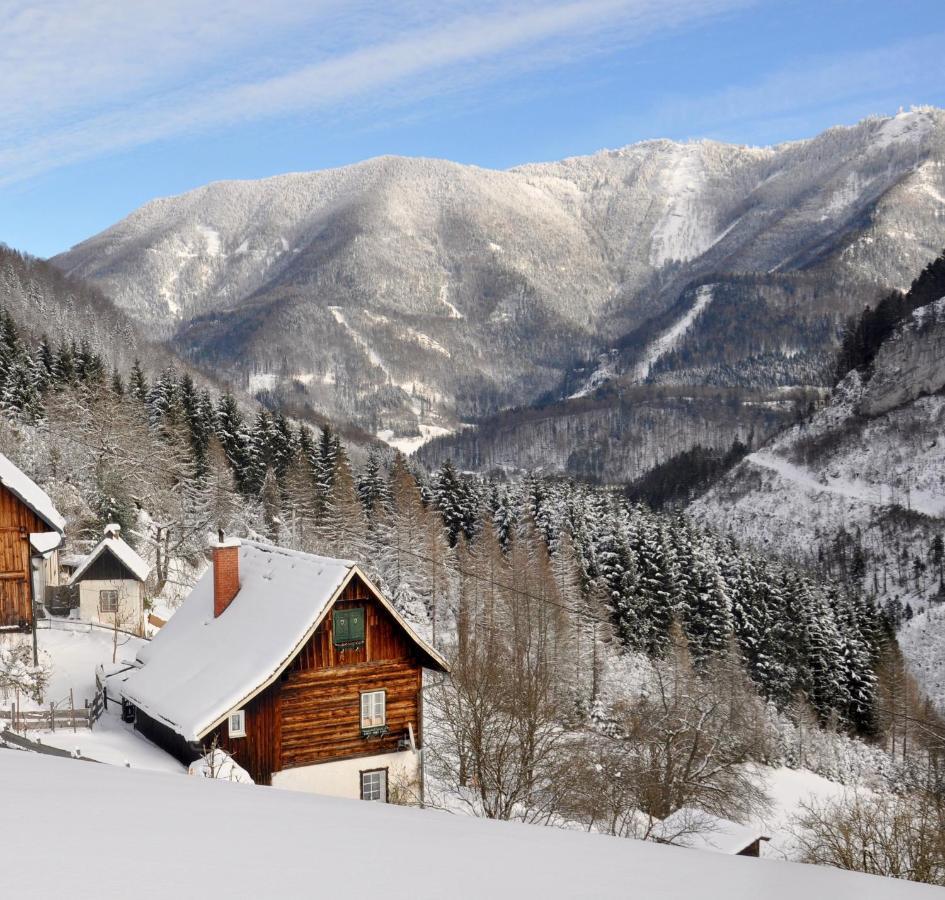 Romantische Ferienhütte Ennstaler Nat Kalkalpen bis 6 Personen Kleinreifling Exterior foto