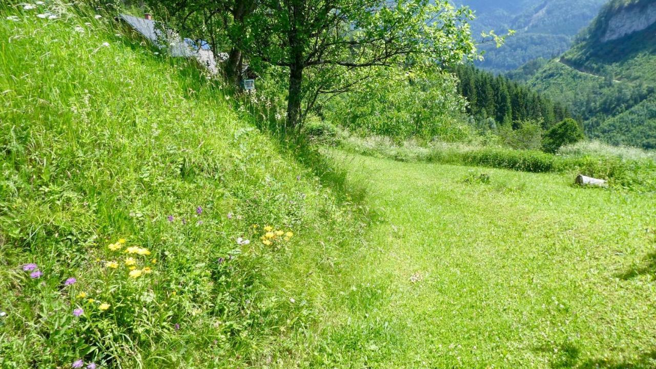 Romantische Ferienhütte Ennstaler Nat Kalkalpen bis 6 Personen Kleinreifling Exterior foto